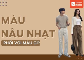 màu nâu nhạt phối với màu gì