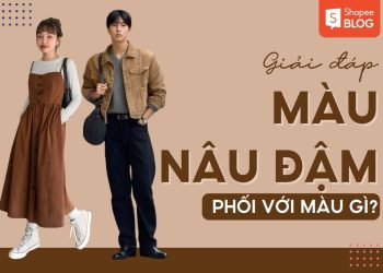 màu nâu đậm phối với màu gì