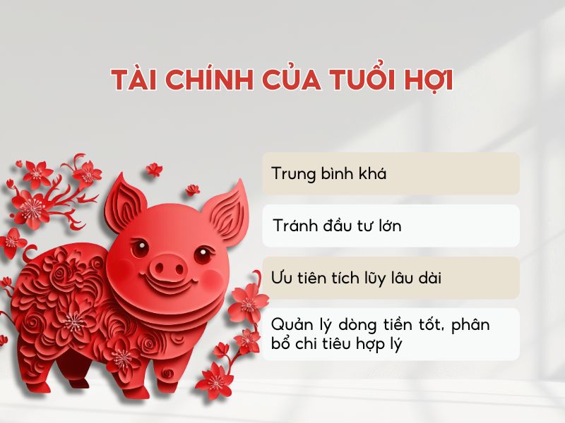 Tổng quan tài chính của tuổi Hợi năm 2026 