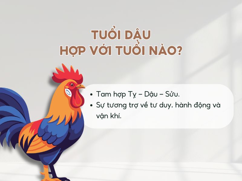 Tuổi Dậu kết hôn tuổi nào hợp? 