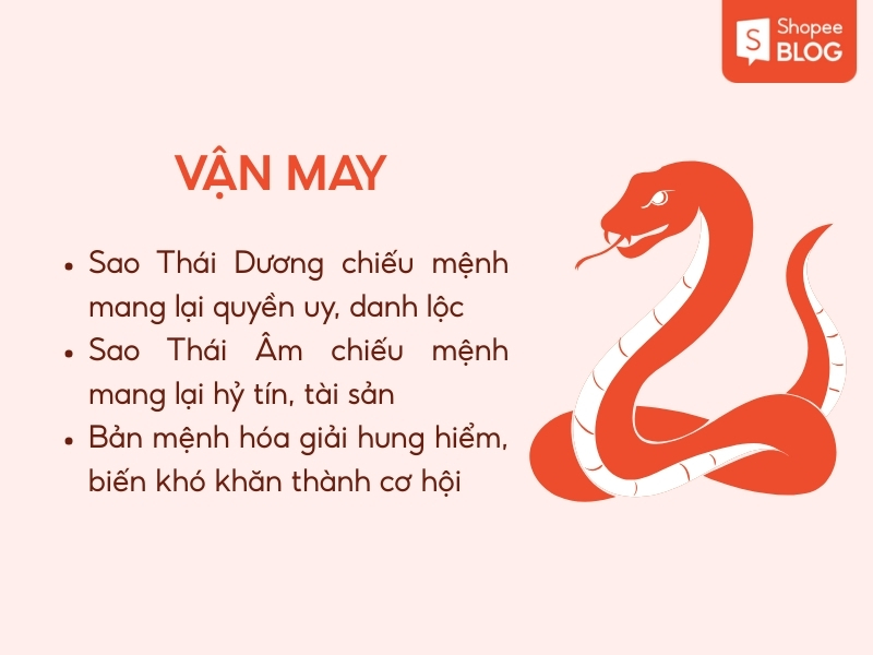 vận may tuổi Tỵ 2026