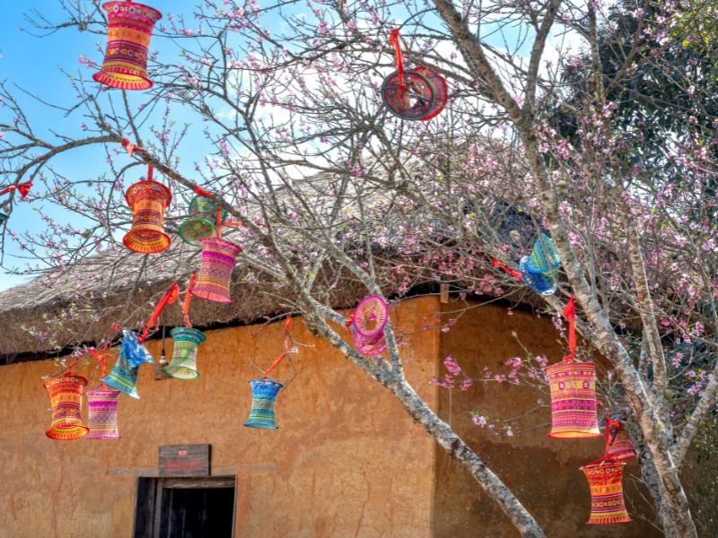 trang trí cây đào với đèn lồng