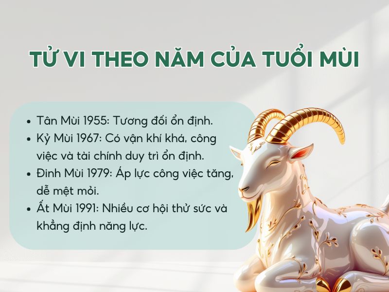 Tổng quan tử vi từng năm theo tuổi Mùi 