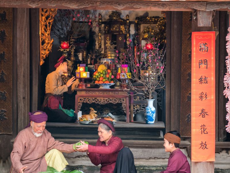 cây đào trong chậu kiểng