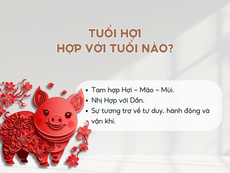 Tuổi Hợi kết hôn tuổi nào hợp?