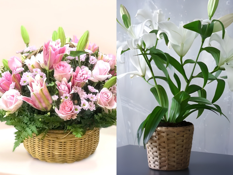 Cắm hoa ly trong giỏ mây/giỏ tre