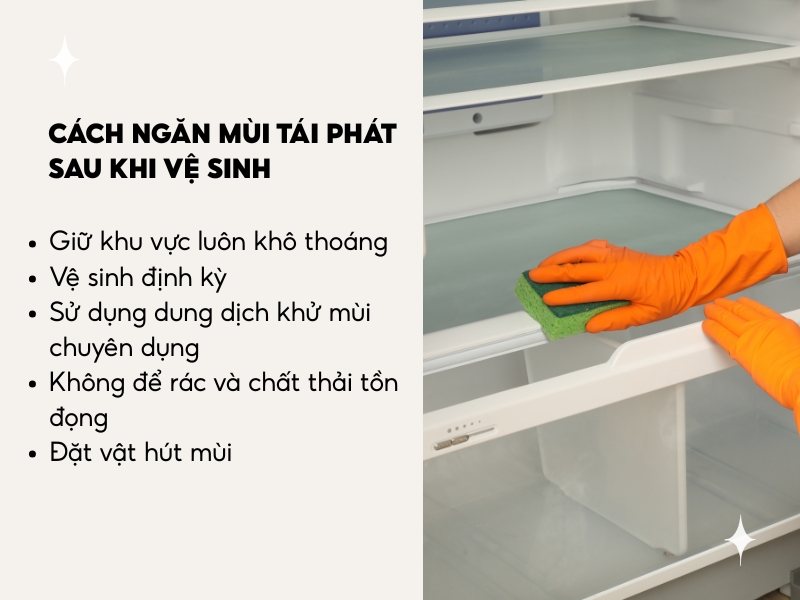Cách ngăn mùi tái phát sau khi vệ sinh