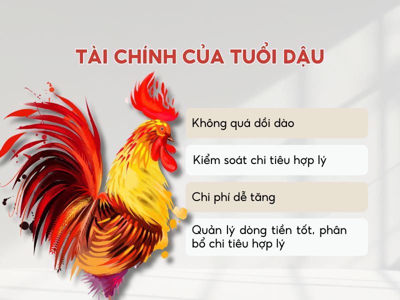 Tổng quan tài chính của tuổi Dậu năm 2026