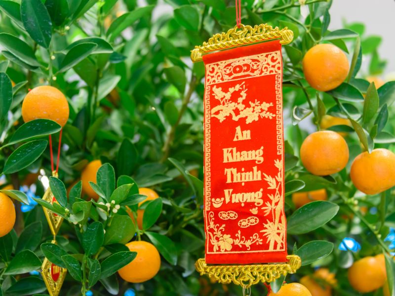 trang trí cây quất bằng câu đối