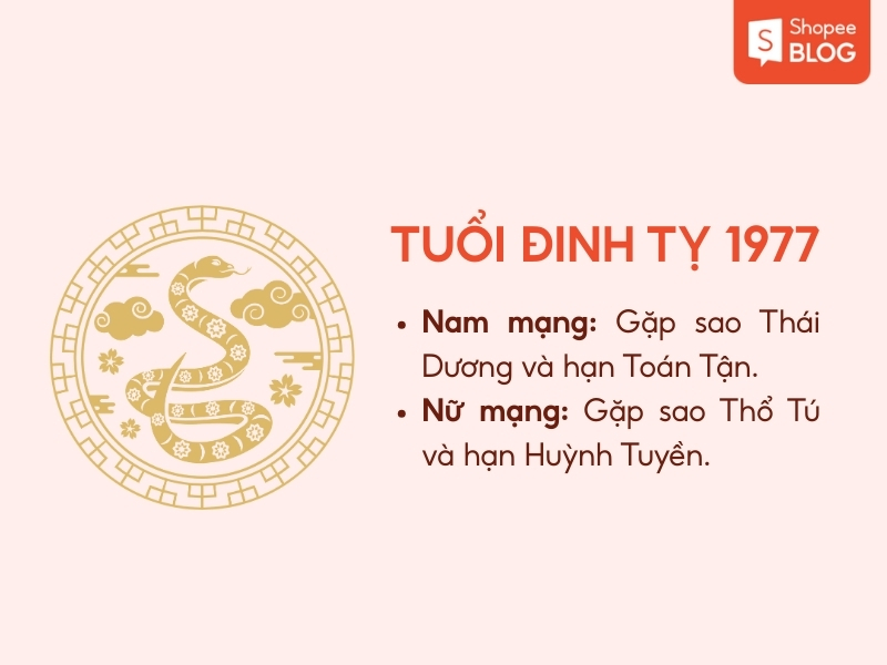 tử vi tuổi Đinh Tỵ 2026