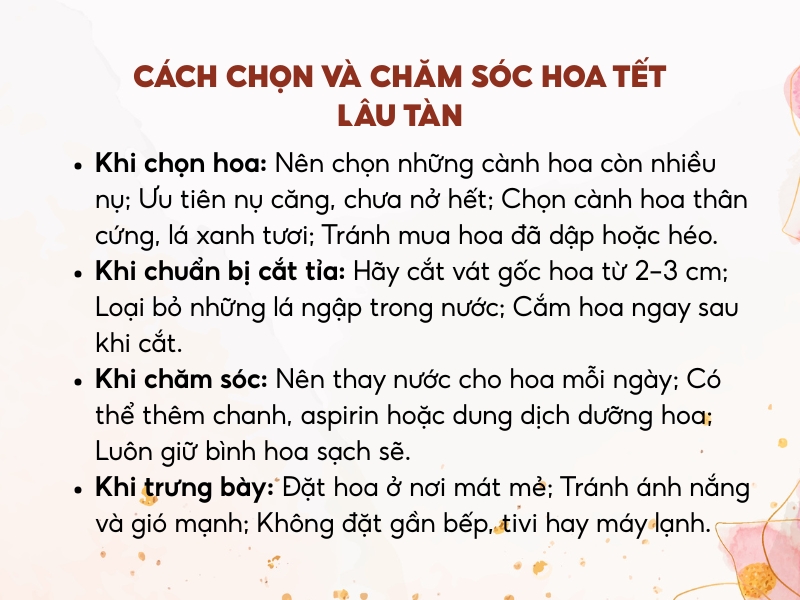 Cách chọn và chăm sóc hoa Tết lâu tàn