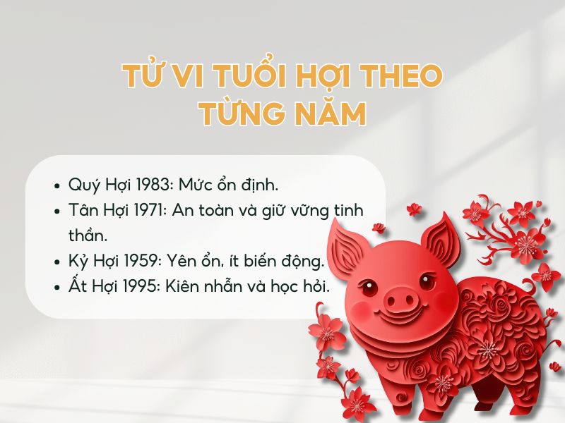 Tổng quan tử vi tuổi Hợi năm 2026 