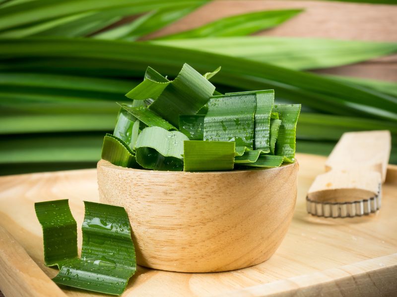 lá dứa