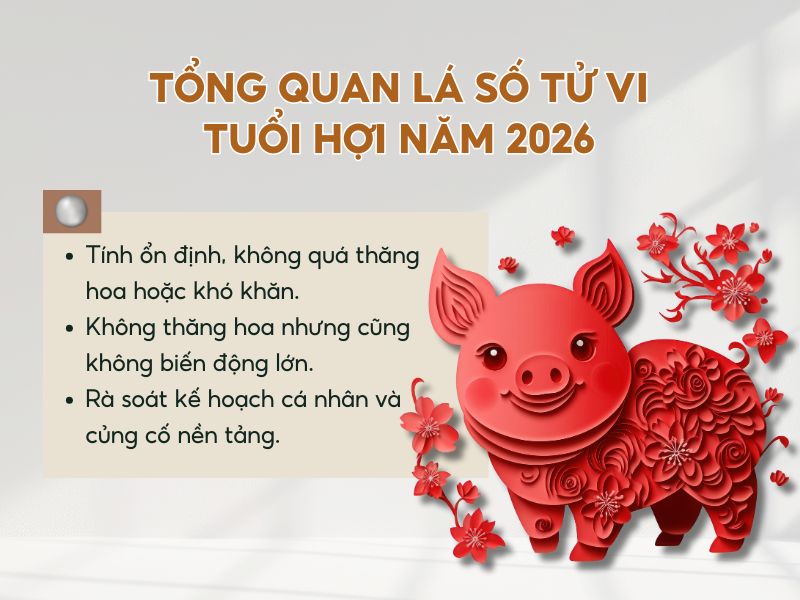Tổng quan tử vi tuổi Hợi trong năm 2026 