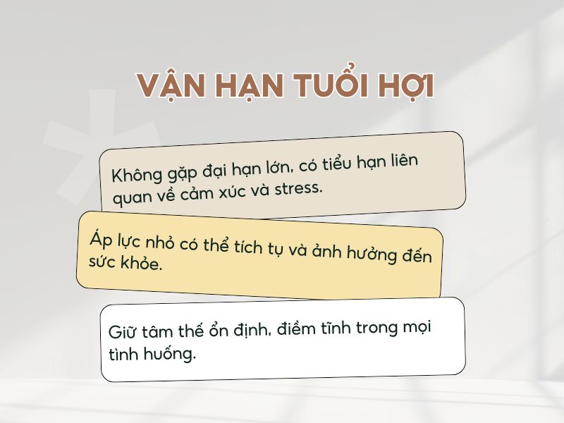 Vận hạn của tuổi Hợi năm 2026