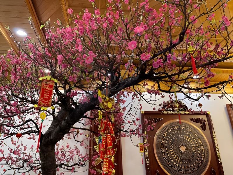 cây đào tết dây pháo treo