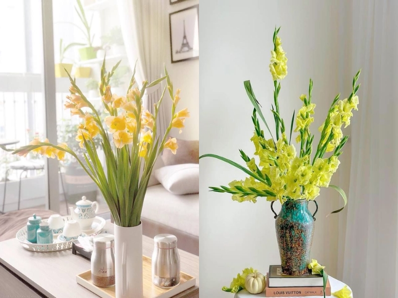 cắm hoa lay ơn bình cao