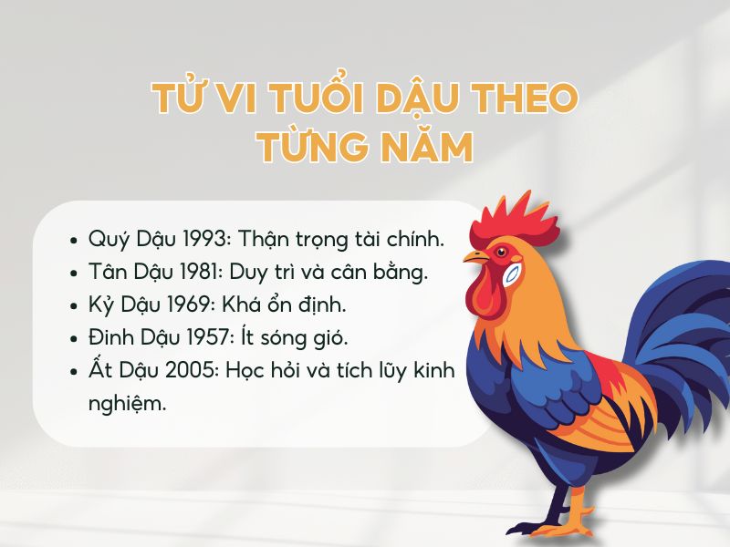 Tổng quan tử vi tuổi Dậu năm 2026
