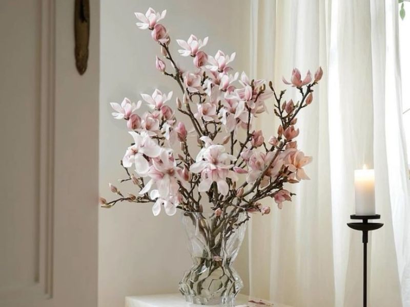 Cách chăm hoa mộc lan tươi lâu