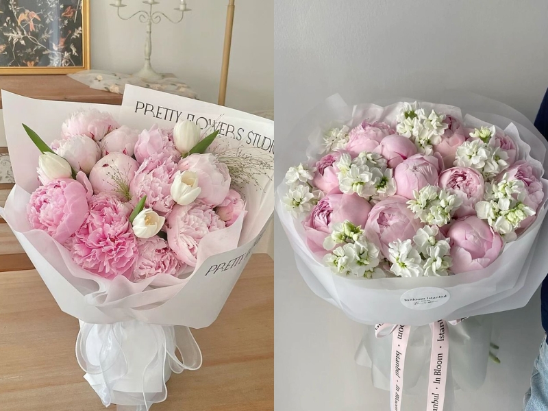  hoa mẫu đơn tặng valentine