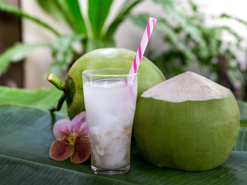 Cách giải rượu bia với nước dừa