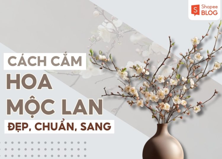 cách cắm hoa mộc lan