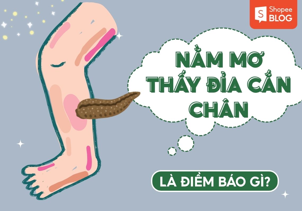 nằm mơ thấy đỉa cắn chân