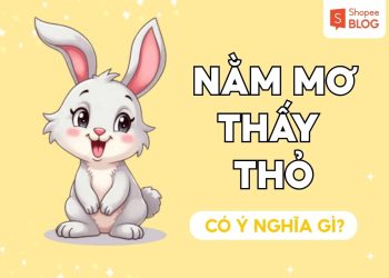 mo-thay-tho