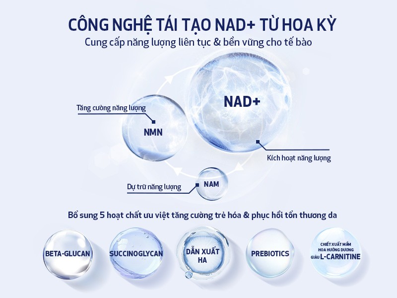 Thành phần của serum Obagi Nu-gen