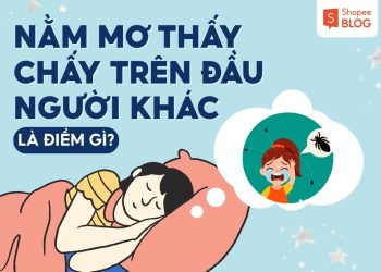 nằm mơ thấy chấy trên đầu người khác