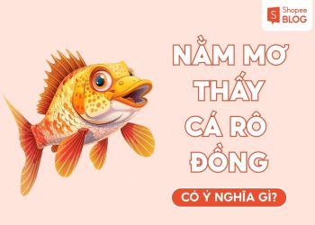 nam-mo-thay-ca-ro-dong