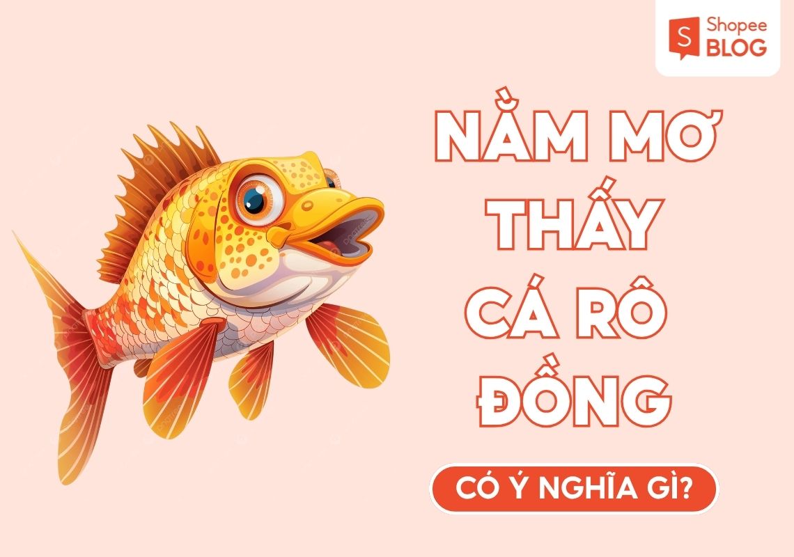 nam-mo-thay-ca-ro-dong