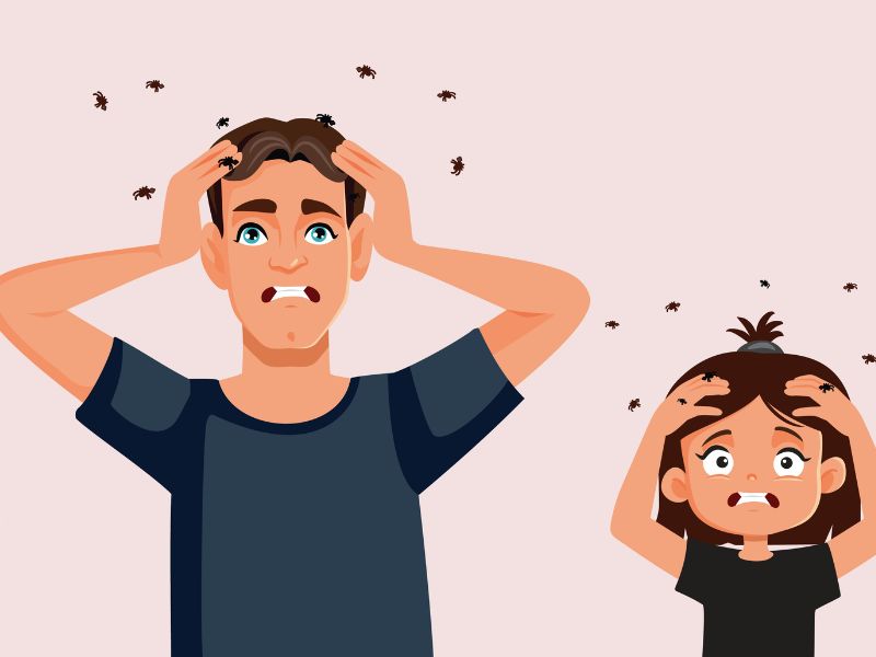 nằm mơ thấy chấy trên đầu người khác
