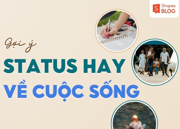 stt hay về cuộc sống