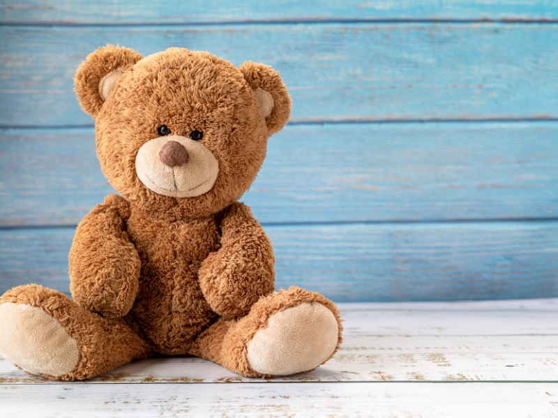 Những chú gấu bông cute
