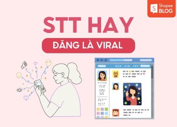 stt hay