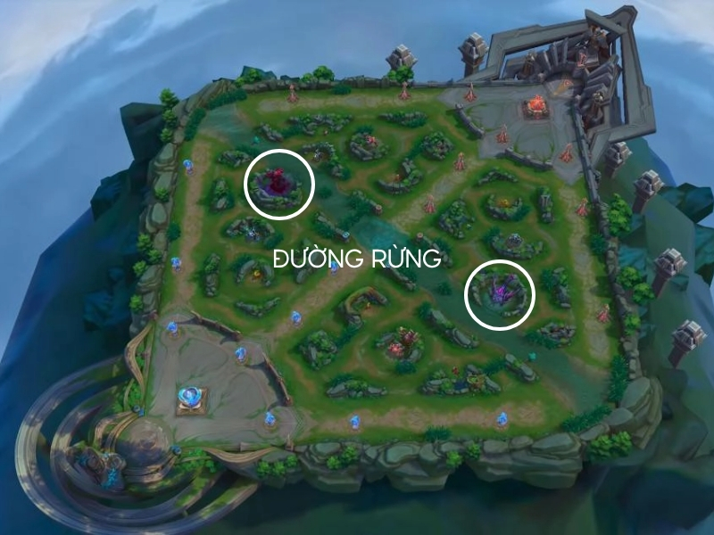 Đường rừng trong Liên Quân