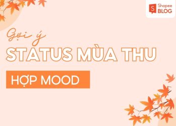 stt mua thu