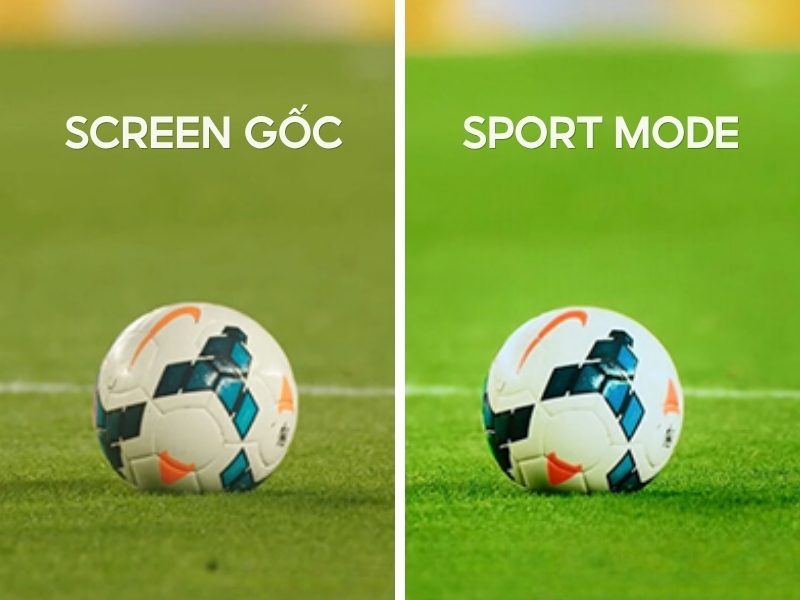 Chế độ Sport Mode TV