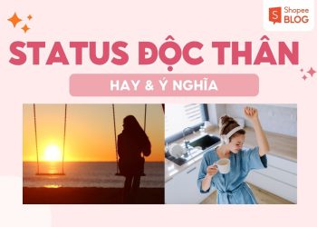 stt độc thân