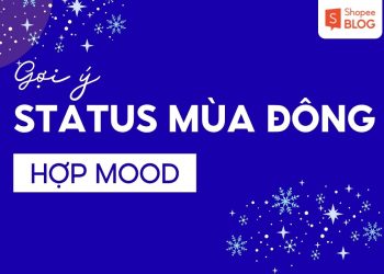 stt mua dong