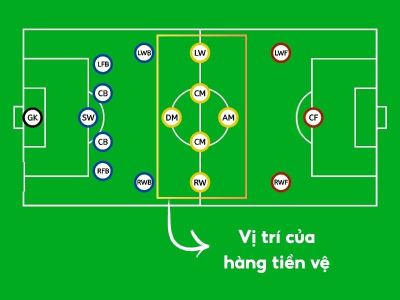 Vị trí của hàng Tiền vệ trên sân bóng