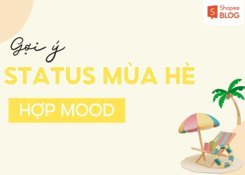 stt mua he