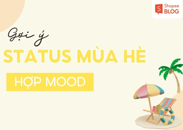 stt mua he