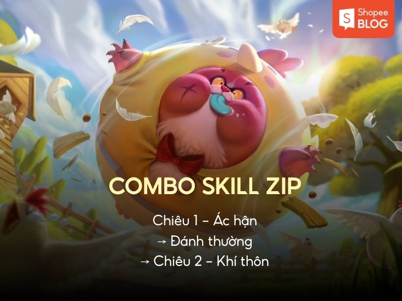 combo kỹ năng zip