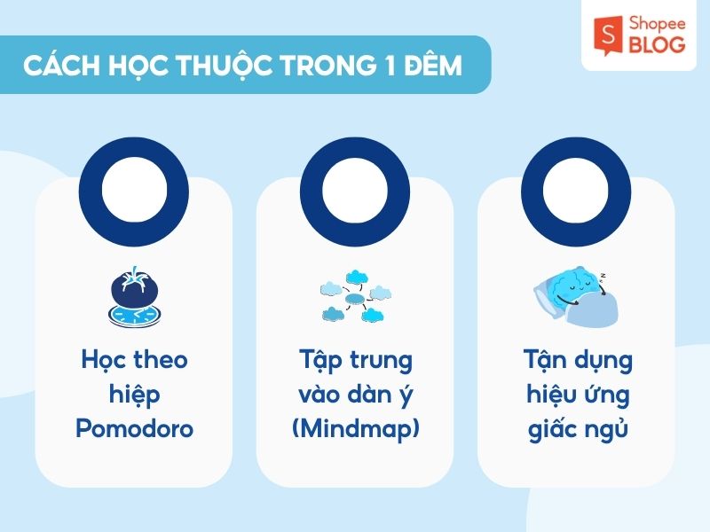 Cách học thuộc nhanh trong 1 đêm