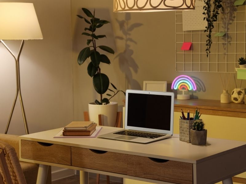 Đặt một chậu cây mini