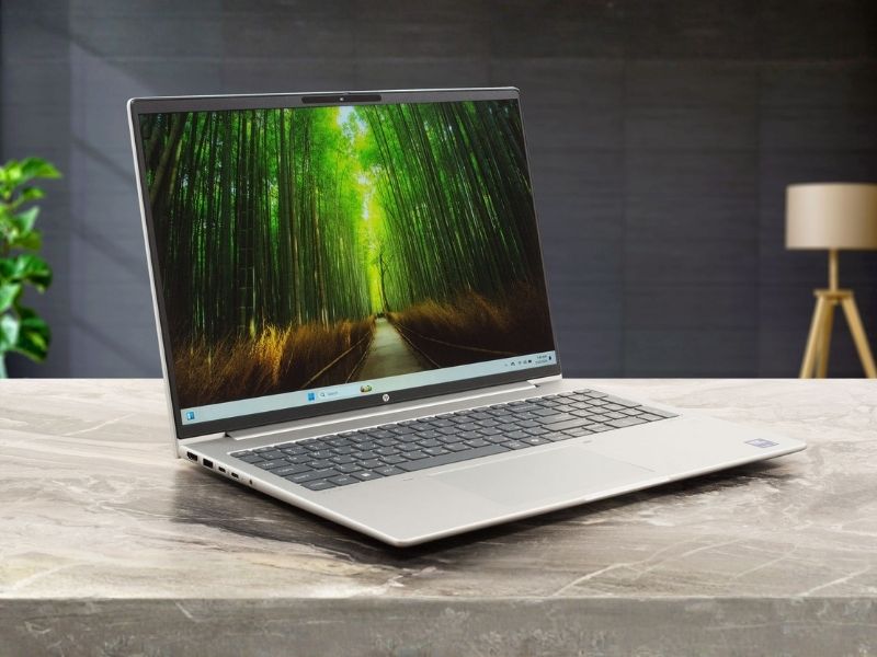 Laptop cho sinh viên kinh tế HP ProBook 460 G11