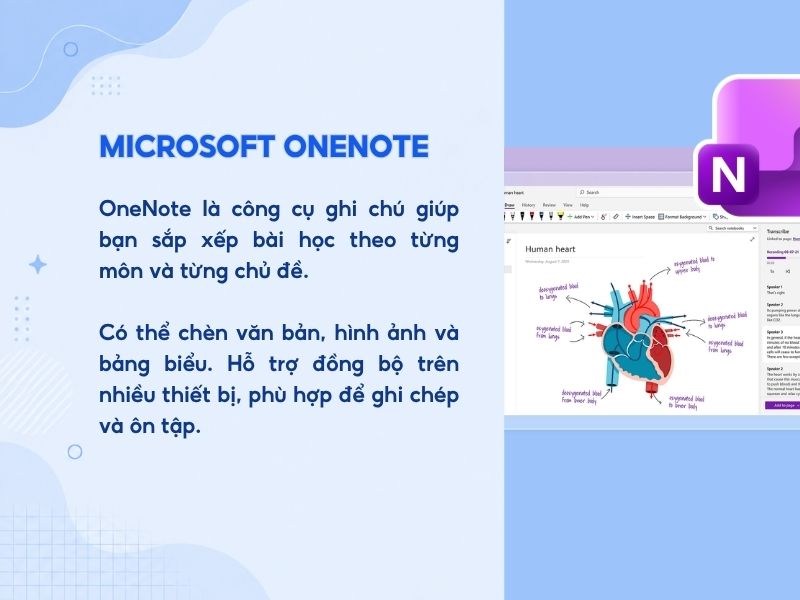 Microsoft OneNote