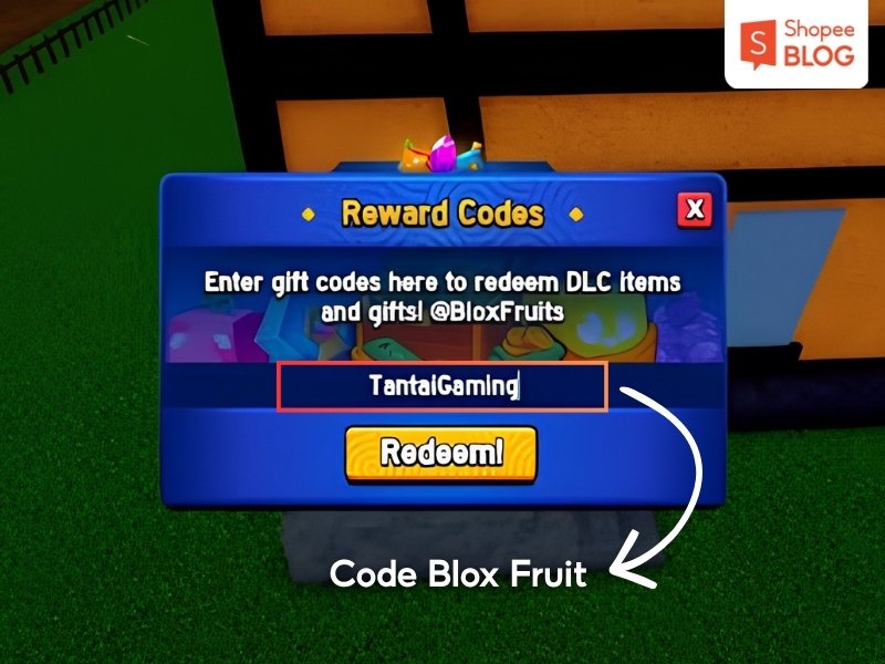 Khái niệm code Blox Fruit là gì